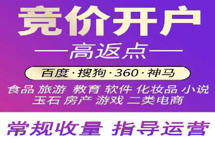 百度竞价广告投放策略案例